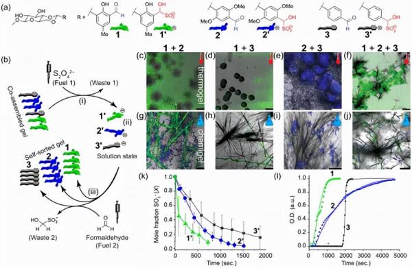 《JACS》化學燃料自分類水凝膠