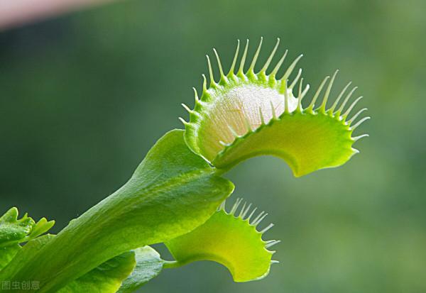 自轉島嶼,是小島真的在轉動還是隻是錯覺? 自轉島嶼,是小島真的在轉動還是隻是錯覺?