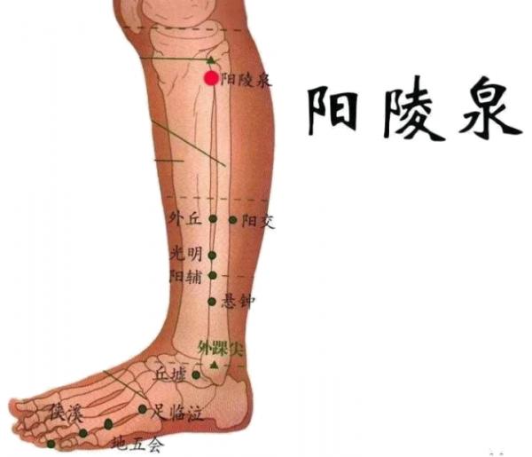 快速搞定網球肘的特效針法!(簡靈奇針創始人周大鵬老師講解) 快速搞定網球肘的特效針法!(簡靈奇針創始人周大鵬老師講解)