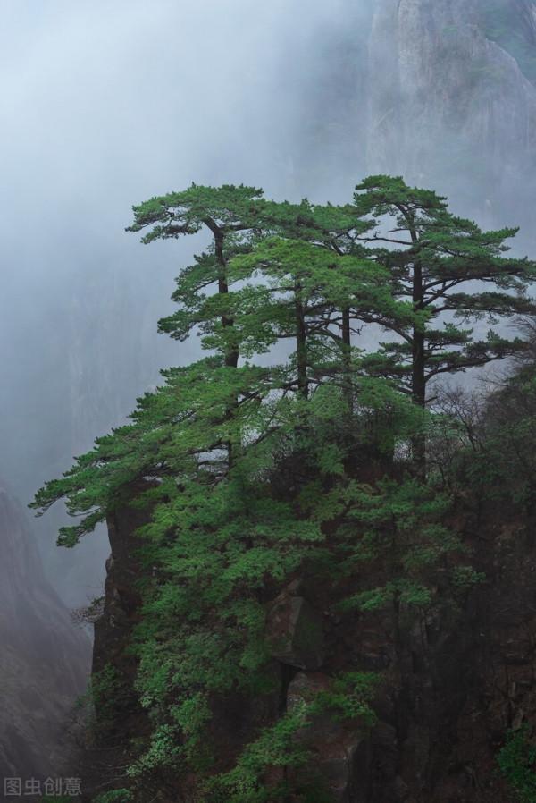 雲霧繚繞大山仙境圖片，唯美的意境，一起感受山水風景的壯美