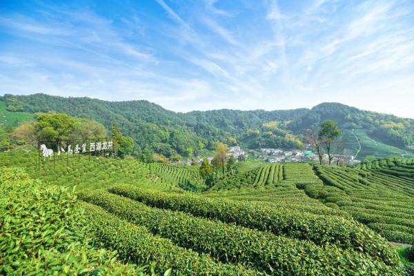 神秘的北緯30°，在這裡，奇蹟與災難並存…