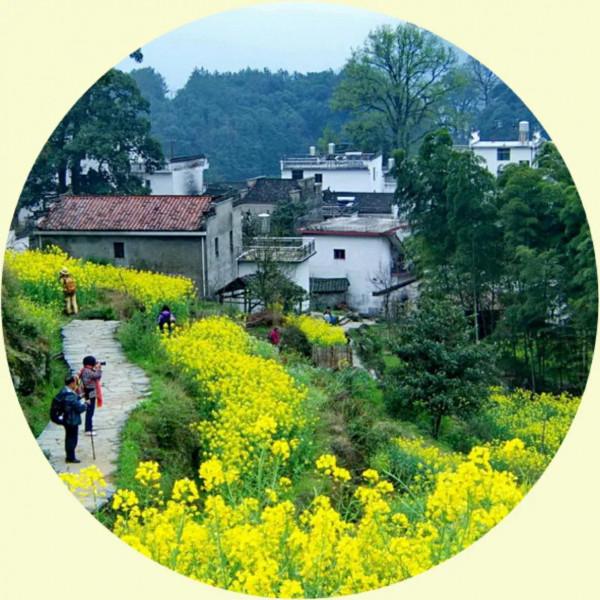 你的微信頭像該換了,美麗的風景,令人心曠神怡 你的微信頭像該換了,美麗的風景,令人心曠神怡