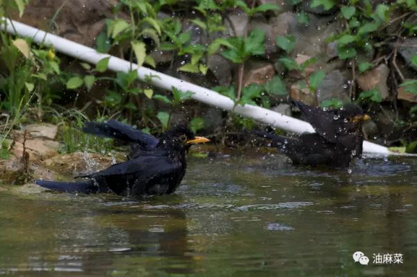 那些看似無聊的等待