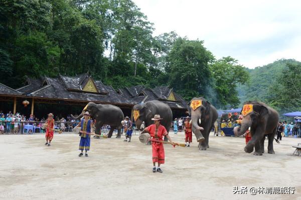 北方人養老,就去雲南這3座小城!價效比高氣候好,醫療也不錯 北方人養老,就去雲南這3座小城!價效比高氣候好,醫療也不錯