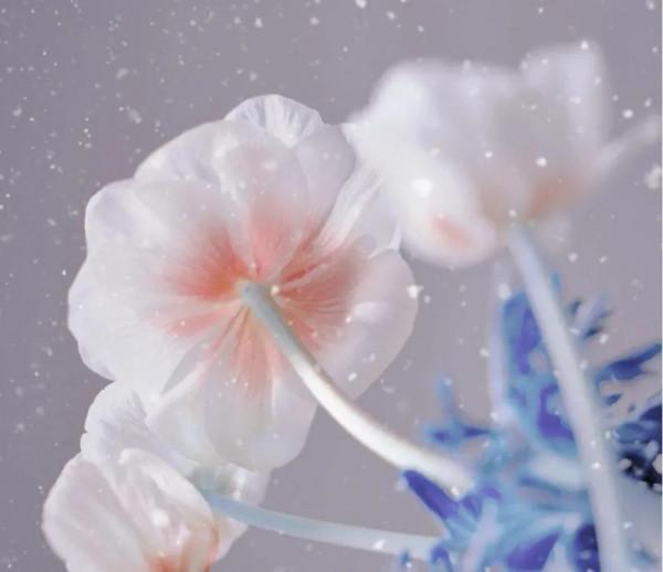 《道德經》一個人慾望越少，內在智慧越多，也就，越靠近本源