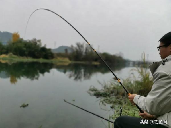 7款價效比很高的魚竿,便宜、結實,10多斤的魚也能輕鬆應對 7款價效比很高的魚竿,便宜、結實,10多斤的魚也能輕鬆應對