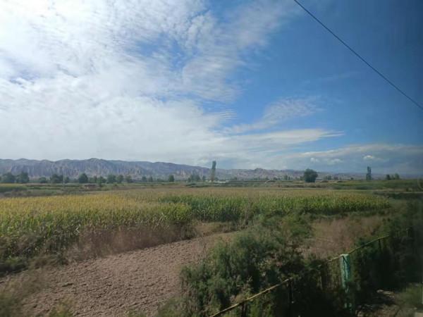 沿途的風景，壯闊的讓我不想走