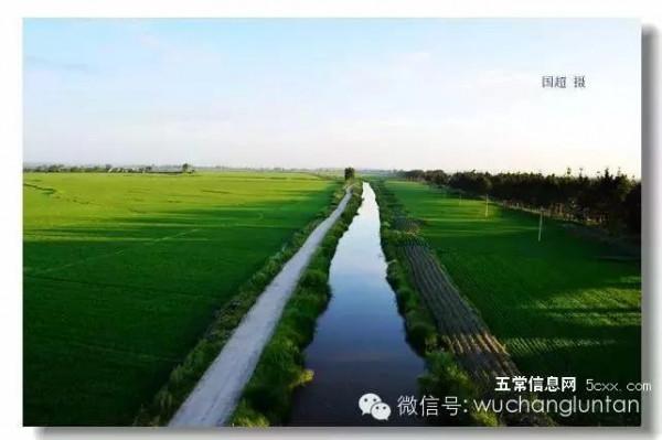 這是五常最美的夏日