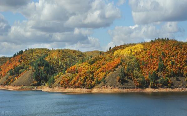 尋找你刻意練習的目標，成就你的人生