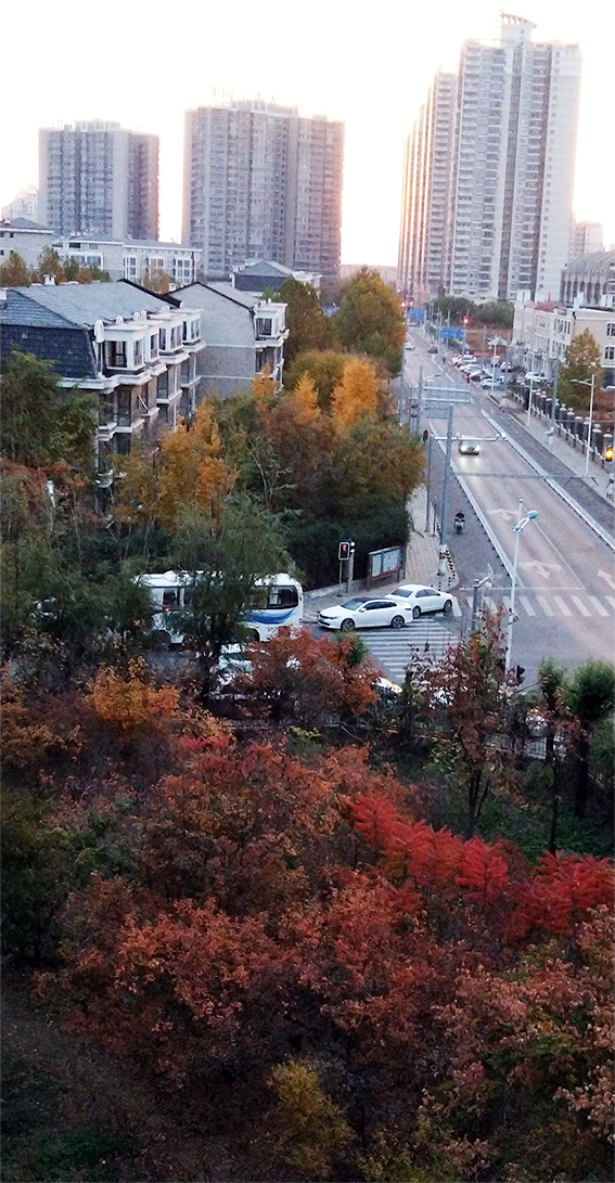 秋 韻 賦----《蝶變回天》北京天通苑靚麗美景拍不完（18）