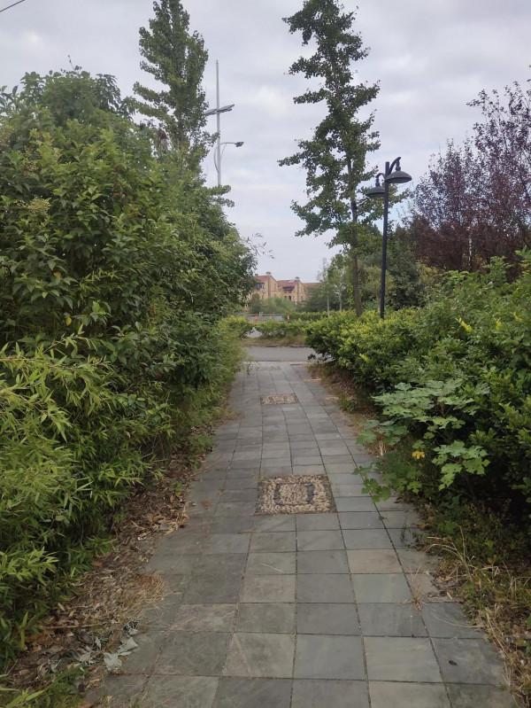 秋釣第四站:打卡寧波慈溪伏龍山下伏龍河 秋釣第四站:打卡寧波慈溪伏龍山下伏龍河