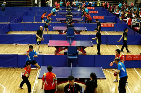 乒 乓 球 的 幾 種 打 法 類 型