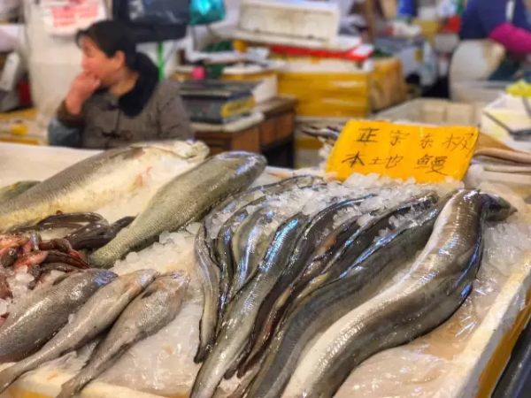 這是一篇幫你玩轉舟山的實用乾貨帖