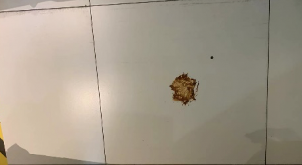 自清潔掃地機器人到底怎麼樣？科沃斯X1、石頭G10、追覓W10橫評