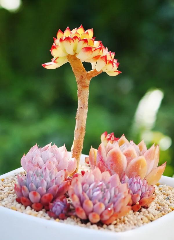 人生,有時不妨來點自嘲,十二首自嘲的詩詞,總有一句適合你 人生,有時不妨來點自嘲,十二首自嘲的詩詞,總有一句適合你