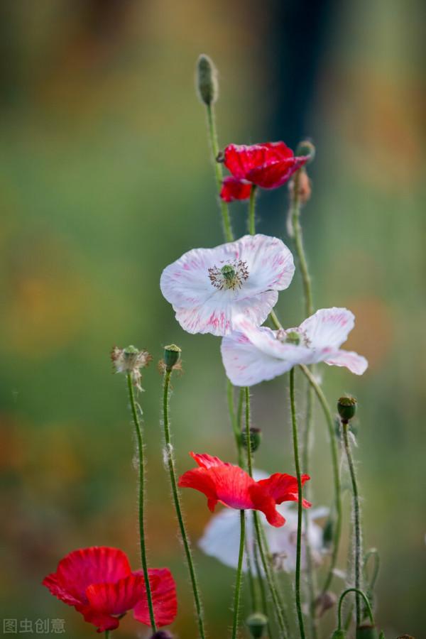 是嫉妒心作祟還是人性