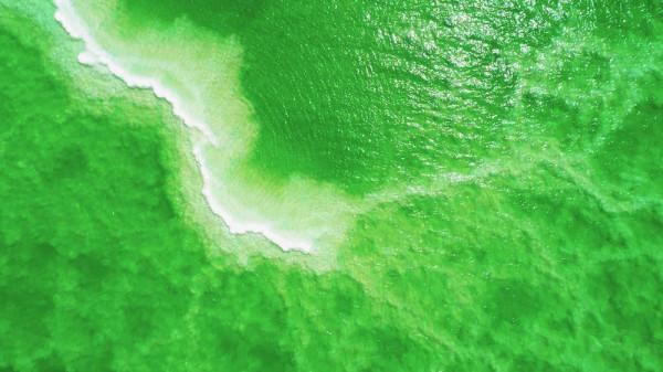 標緻4008環青海長測Day8：察爾汗鹽湖，最值得來的西北鹽湖之一！