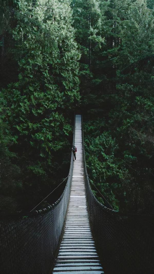 適合發朋友圈的句子，總有一句適合你