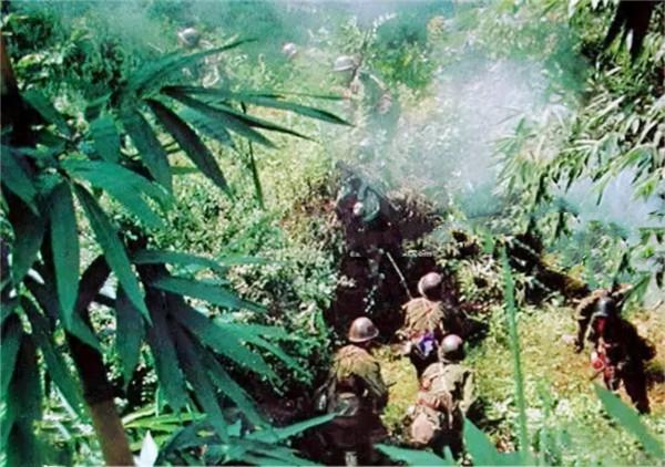 對越反擊戰：“黃繼光式的戰鬥英雄”楊朝芬，轉業後怎麼樣了？