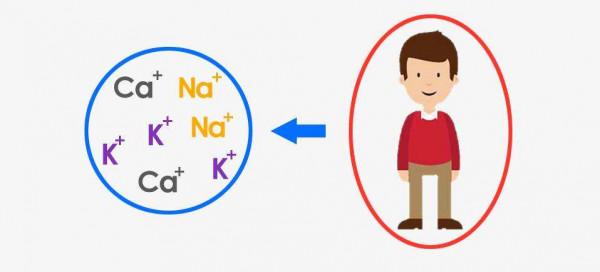 長期不吃鹽會渾身無力?古人類不會提取鹽,那他們是如何補充的? 長期不吃鹽會渾身無力?古人類不會提取鹽,那他們是如何補充的?