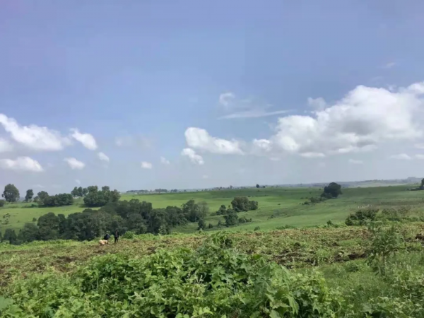 一個駐外女生和馬賽人的故事