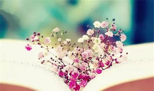 青年情侶雙雙殉情：懶惰阻止了向美而生