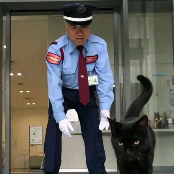 保安連續4年被貓騷擾，本以為是想求收養，瞭解意圖後被可愛到了