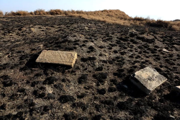 「訪古探幽」探訪紫城砦 「訪古探幽」探訪紫城砦