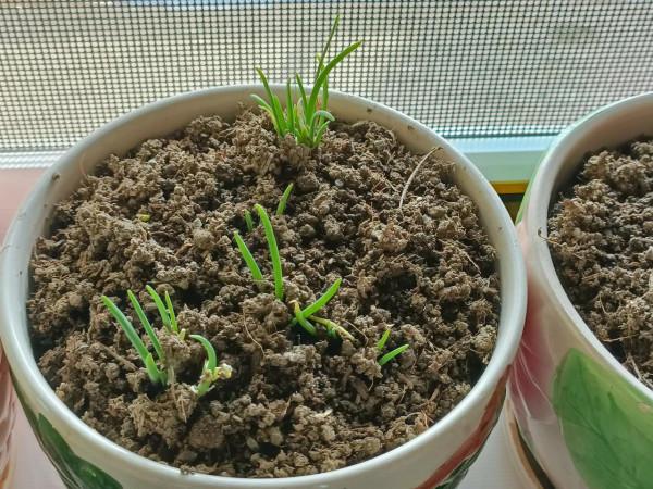 有多少陪讀媽媽無聲的崩潰著 有多少陪讀媽媽無聲的崩潰著