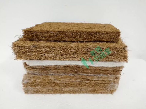 這些家中常見的東西,原來是隱藏的甲醛源頭 這些家中常見的東西,原來是隱藏的甲醛源頭