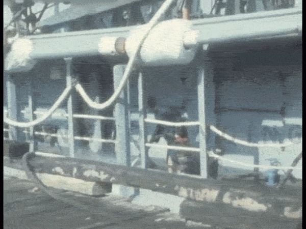 48年前我軍炮艇包圍越南軍艦，海上拼刺刀戰果如何？最新影像曝光