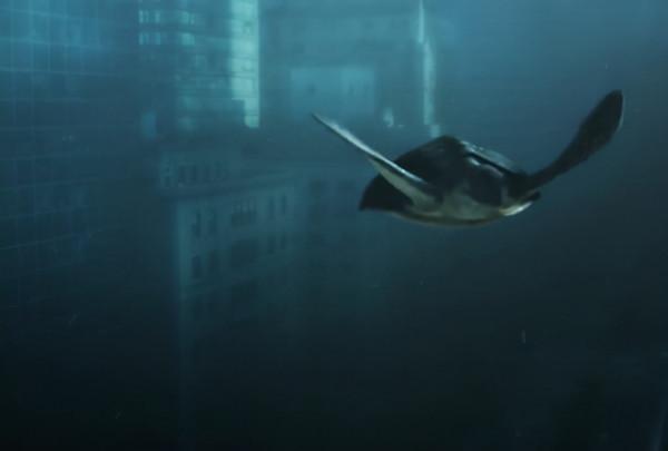 史前動物廣翅鱟：專吃海洋“浮屍”，4億年前最先登陸地面的動物