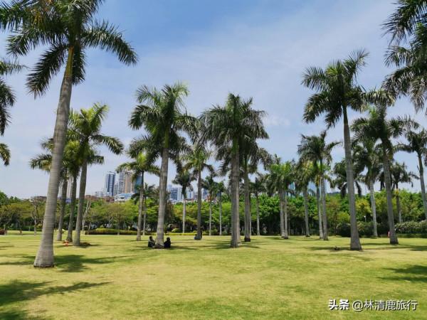 中國最乾淨的5個海濱城市,氣候出色空氣好,在此養老很愜意 中國最乾淨的5個海濱城市,氣候出色空氣好,在此養老很愜意