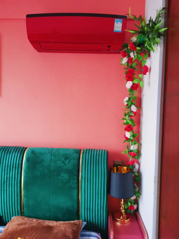 把空調櫃機換成掛機後,我“賺”到了一塊價值百萬的“生態寶地” 把空調櫃機換成掛機後,我“賺”到了一塊價值百萬的“生態寶地”