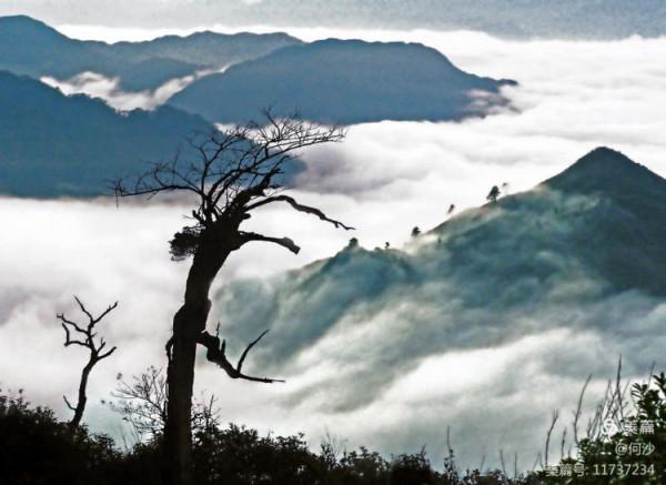 大美莽山(上) 大美莽山(上)