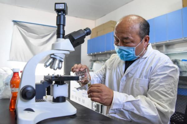 “走吧，你要學著自己長大”——瀕危野馬重返荒野20年