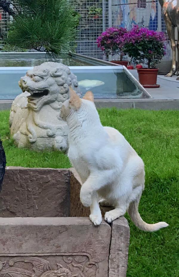 生命不能承受之…重