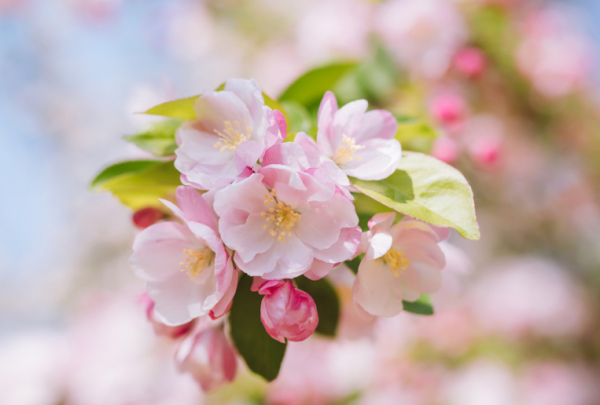 11月上旬，4個星座，敢愛敢恨，從不委屈自己，活得自由瀟灑