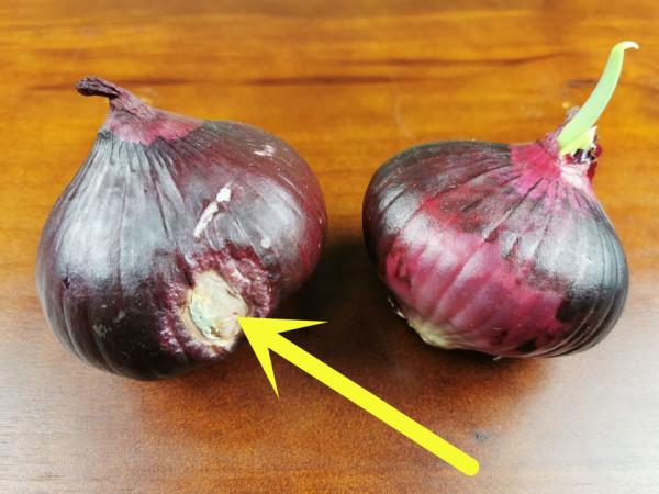 買菜回到家,別帶著塑膠袋放進冰箱,我也是剛知道 買菜回到家,別帶著塑膠袋放進冰箱,我也是剛知道