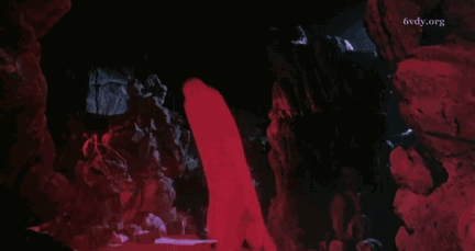 20年前的《蜀山傳》背後的“蜀山宇宙”比“漫威宇宙”還要龐大