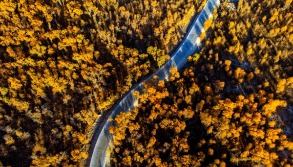 如果一年只能去一次南疆，千萬不要秋天去