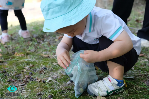 育見星球大自然課程「尋找泡泡樹」——小探究，大學問