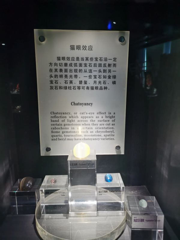 中國地質博物館展品