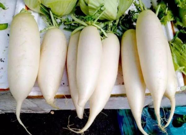 今兒霜降，一年補透透，不如補霜降！吃什麼美食更講究？