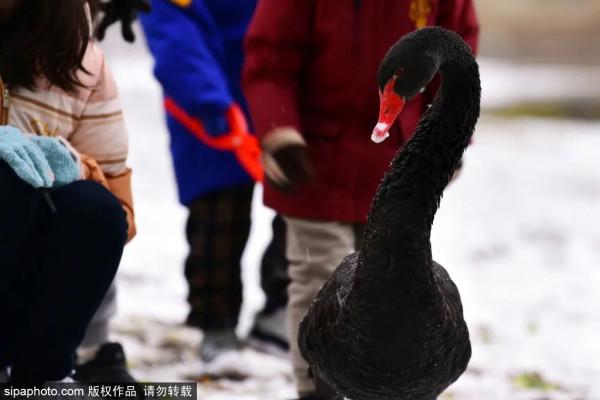 全部清零！當藝術戀上這座城，邂逅唯美“豎琴橋”，奇幻冰瀑即將亮相~