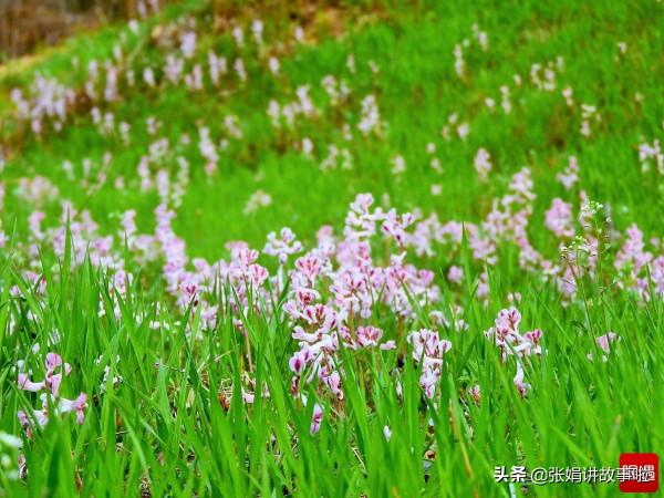 中國古代才華橫溢的才女非常多，繼續分享古代著名的才女
