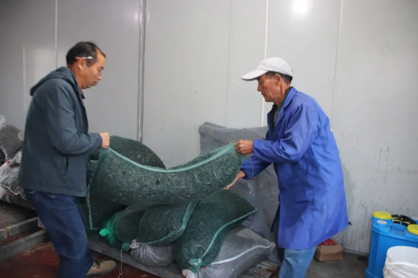 這裡的生態稻真值錢！稻田立體種養走出致富新路