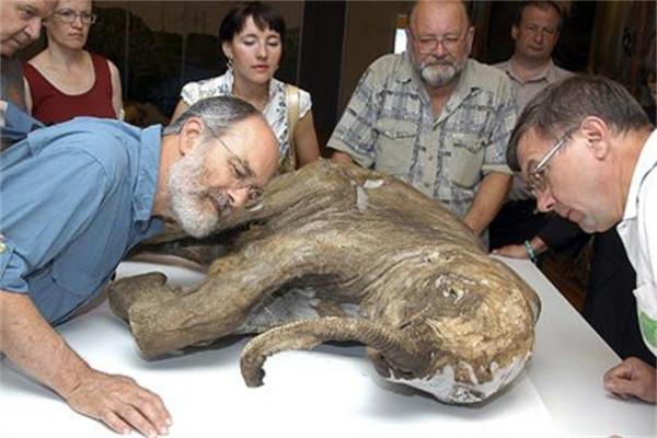 為了永生，科學家給自己注射350萬年前的細菌，如今怎麼樣了？