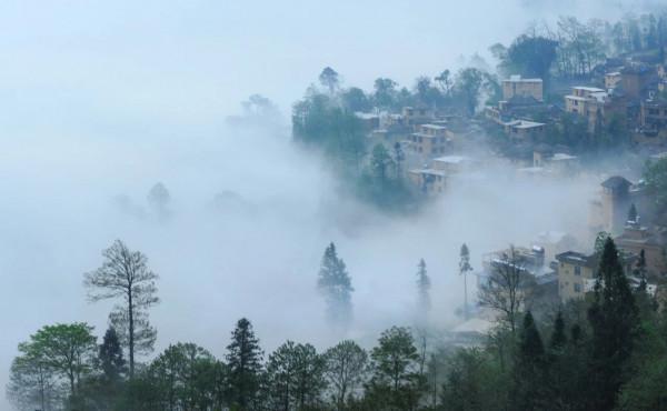 賀鑄最經典的10首宋詞，凌波橫塘，梅子疏雨，那麼美又那麼傷