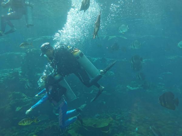 共同富裕與促進生育背景下，房價可能呈現&OpenCurlyDoubleQuote;L型&rdquo;走勢